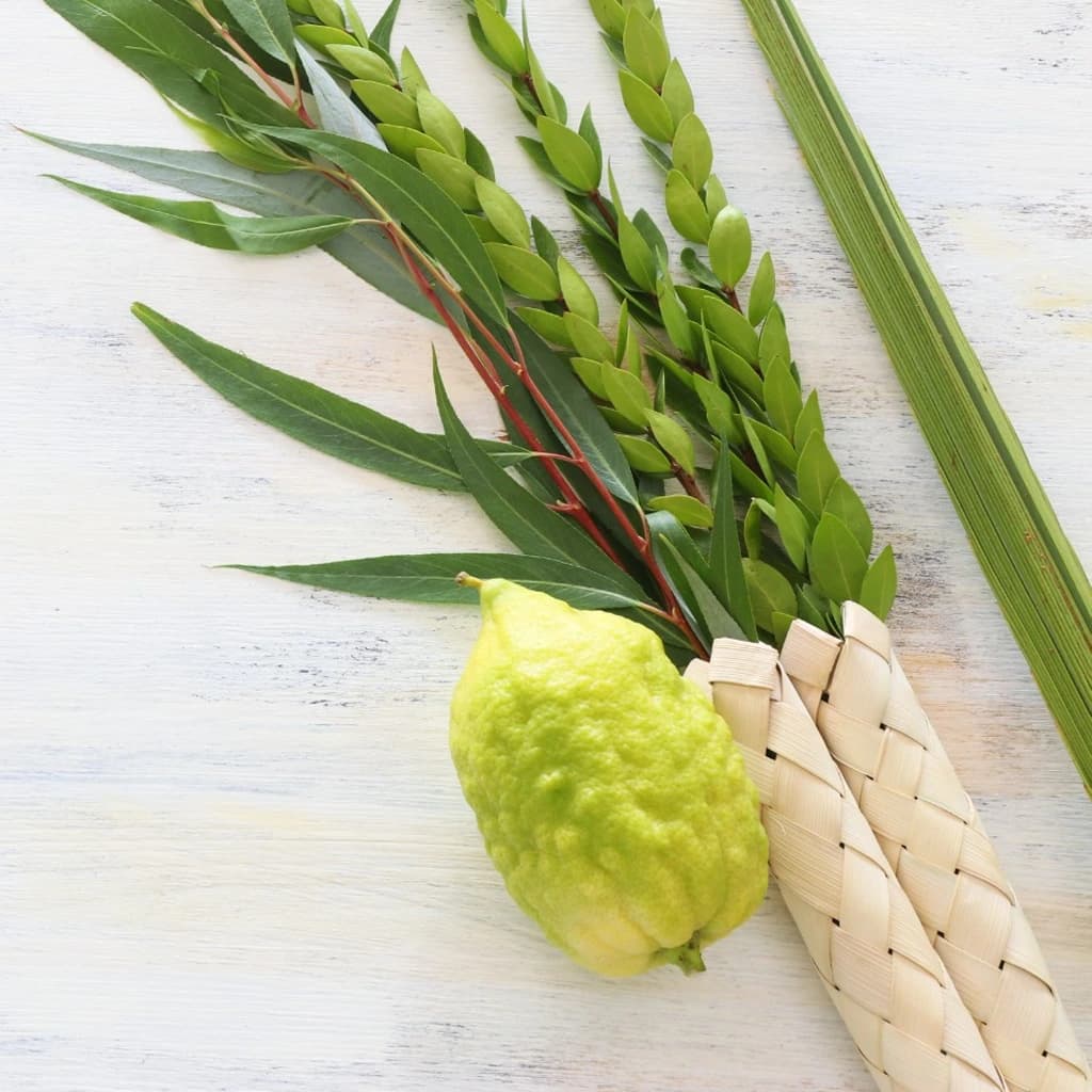 background of הלכות פורים