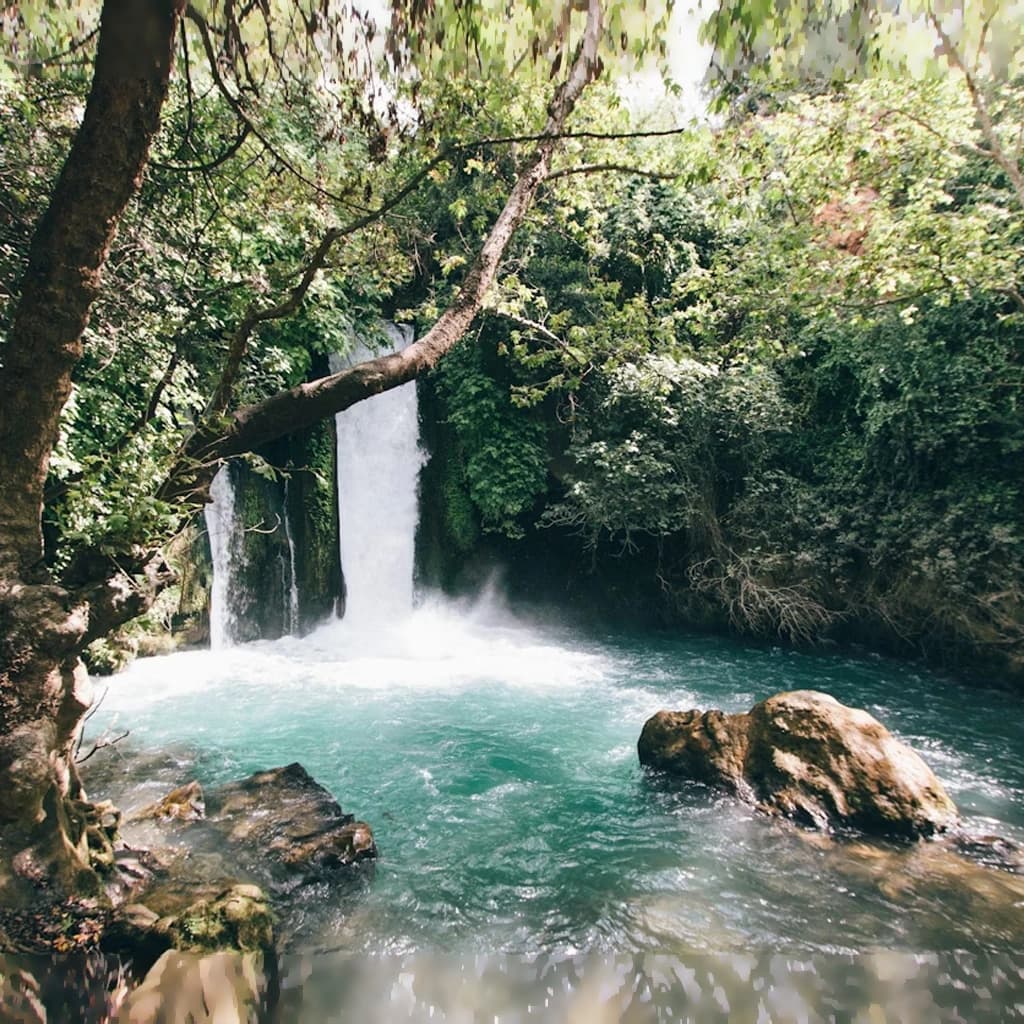 background of מצוות התלויות בארץ