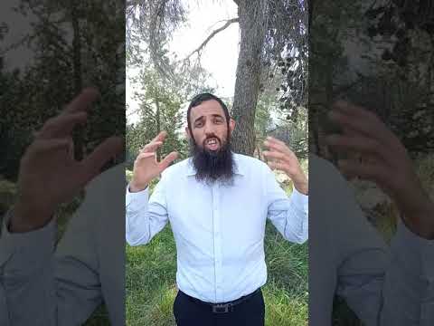 טו בשבט - בין האדם לעץ השדה